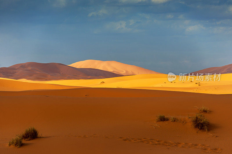 在Erg Chebbi沙漠的沙子，Merzouga，摩洛哥，北非